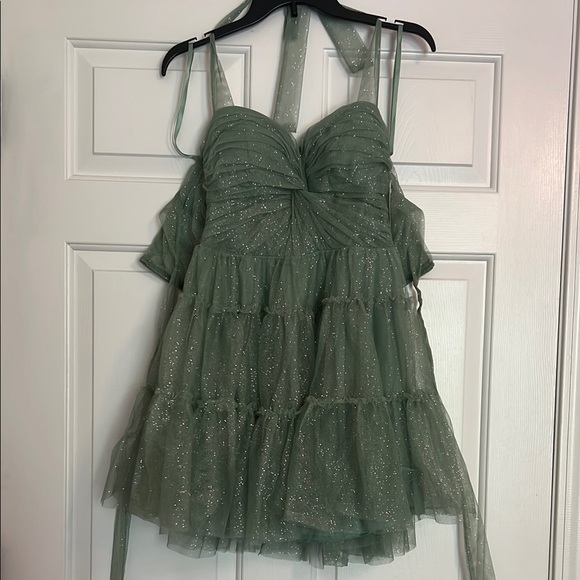 Windsor Sage Glitter Mesh Dress - Picture 1 of 4